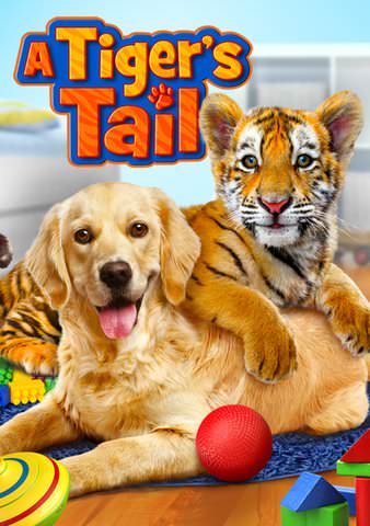 A Tiger's Tail poster