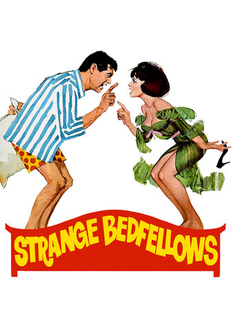 Strange Bedfellows poster