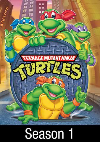 Teenage Mutant Ninja Turtles: Enter The Shredder poster