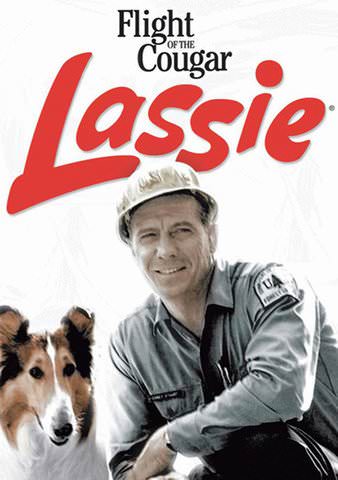 Lassie: Flight of the Cougar poster