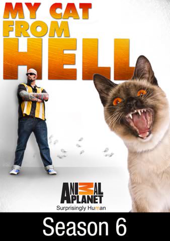 my cat from hell season 6