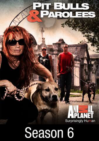 Pit Bulls and Parolees: Where to Watch and Stream Online