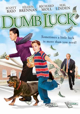 Dumb Luck poster