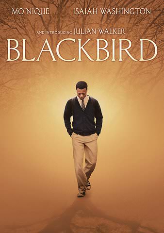 Blackbird poster