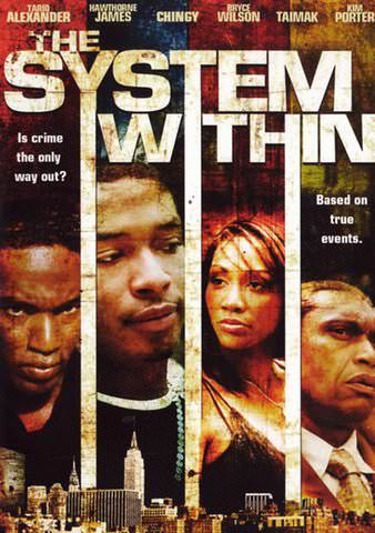 The System Within poster