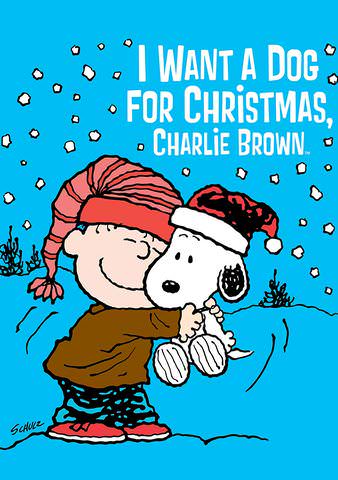 I Want a Dog for Christmas Charlie Brown poster