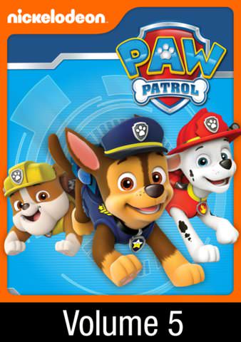 PAW Patrol - La pat' patrouille - Mighty Pups : La Super Patrouille - Les 3  méchants / Sécurité en montagne / Mission voltige / Mission chevaliers (4  DVD) 