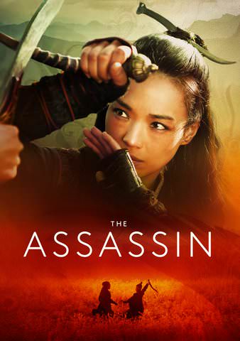 The Assassin poster