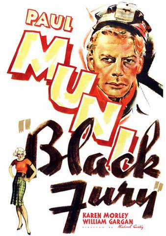 Black Fury poster