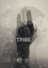 The-Tribe