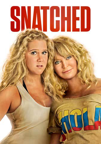 Snatched poster