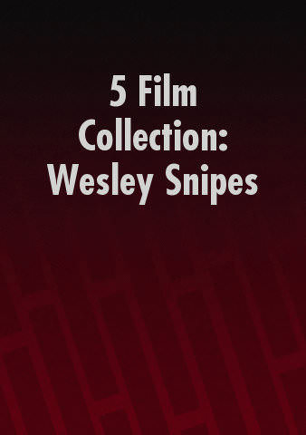 5 Film Collection: Wesley Snipes poster