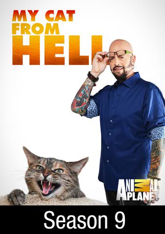 My cat from hell best sale season 9 episode 10