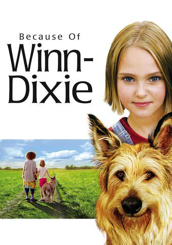what is the plot of because of winn dixie