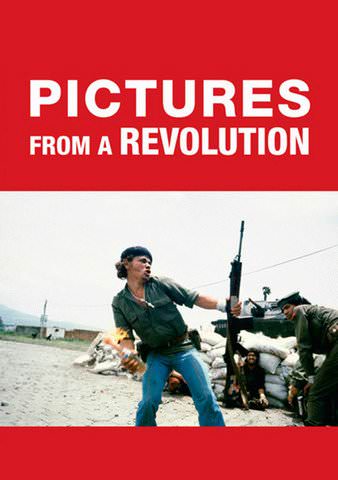 Pictures from a Revolution poster